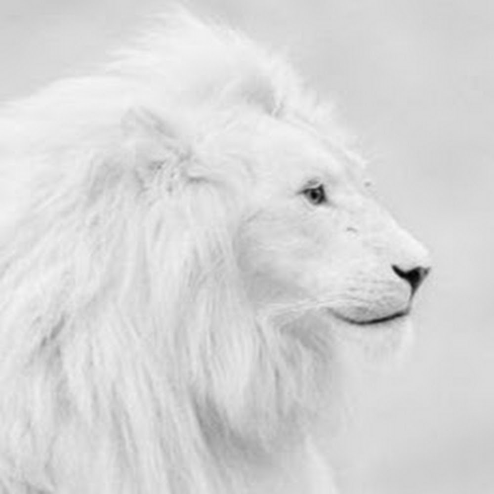 Meet your Posher, Abigail